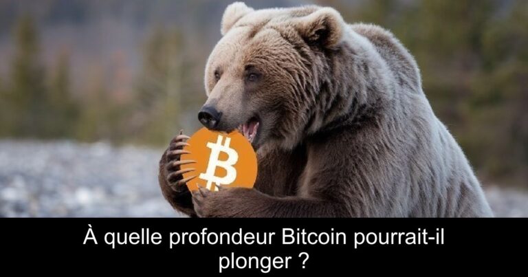 À quelle profondeur Bitcoin pourrait-il plonger ?