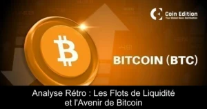 Analyse Rétro : Les Flots de Liquidité et l&rsquo;Avenir de Bitcoin