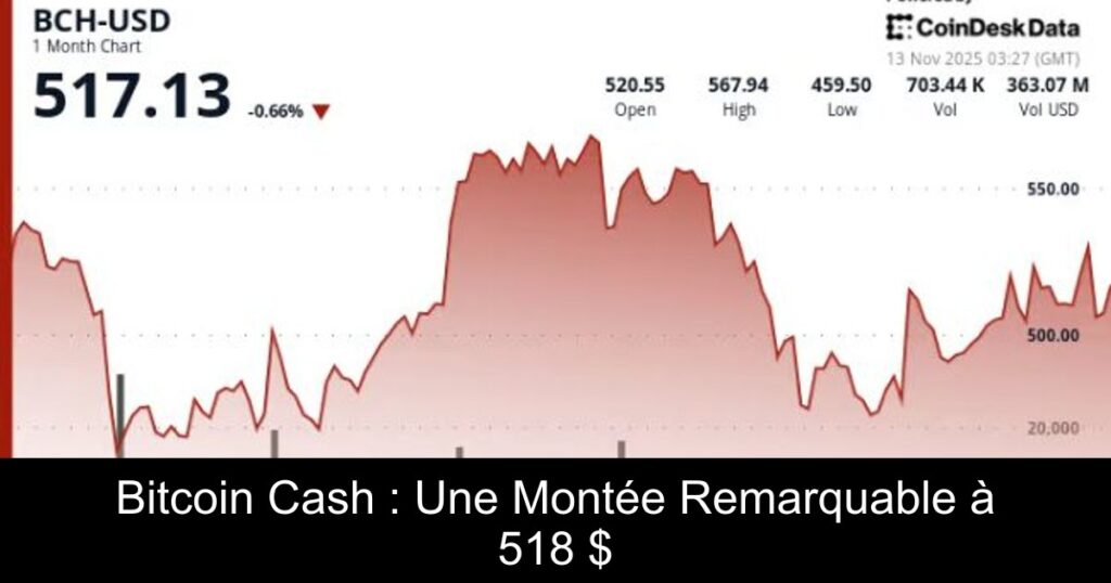 Bitcoin Cash : Une Montée Remarquable à 518 $