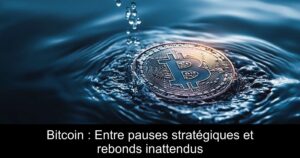 Bitcoin : Entre pauses stratégiques et rebonds inattendus