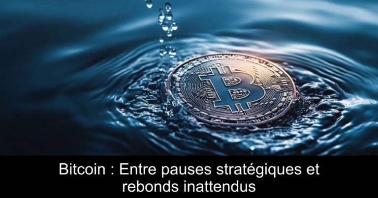 Bitcoin : Entre pauses stratégiques et rebonds inattendus