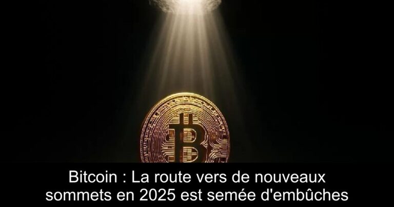 Bitcoin : La route vers de nouveaux sommets en 2025 est semée d'embûches