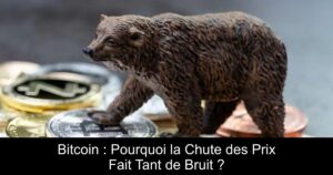 Bitcoin : Pourquoi la Chute des Prix Fait Tant de Bruit ?