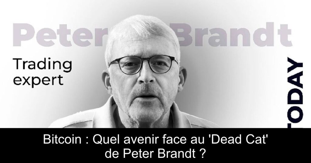 Bitcoin : Quel avenir face au ‘Dead Cat’ de Peter Brandt ?
