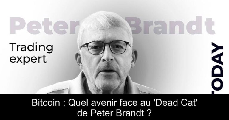 Bitcoin : Quel avenir face au 'Dead Cat' de Peter Brandt ?