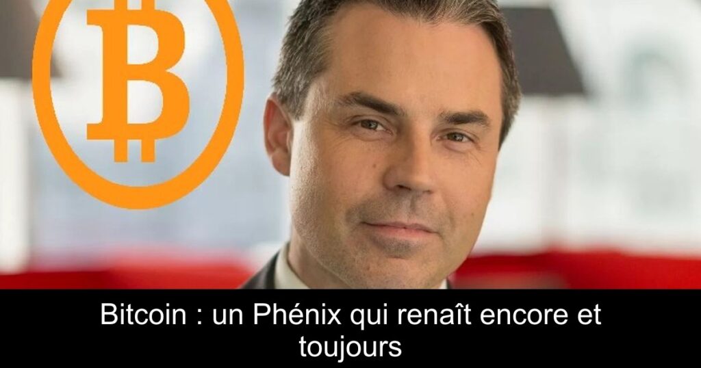 Bitcoin : un Phénix qui renaît encore et toujours