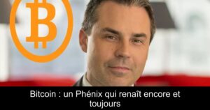 Bitcoin : un Phénix qui renaît encore et toujours