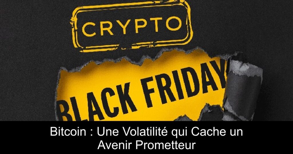 Bitcoin : Une Volatilité qui Cache un Avenir Prometteur