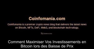 Comment Maximiser Vos Investissements en Bitcoin lors des Baisse de Prix