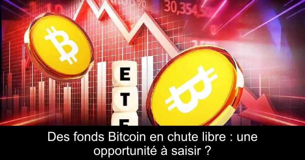 Des fonds Bitcoin en chute libre : une opportunité à saisir ?