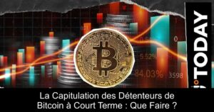 La Capitulation des Détenteurs de Bitcoin à Court Terme : Que Faire ?