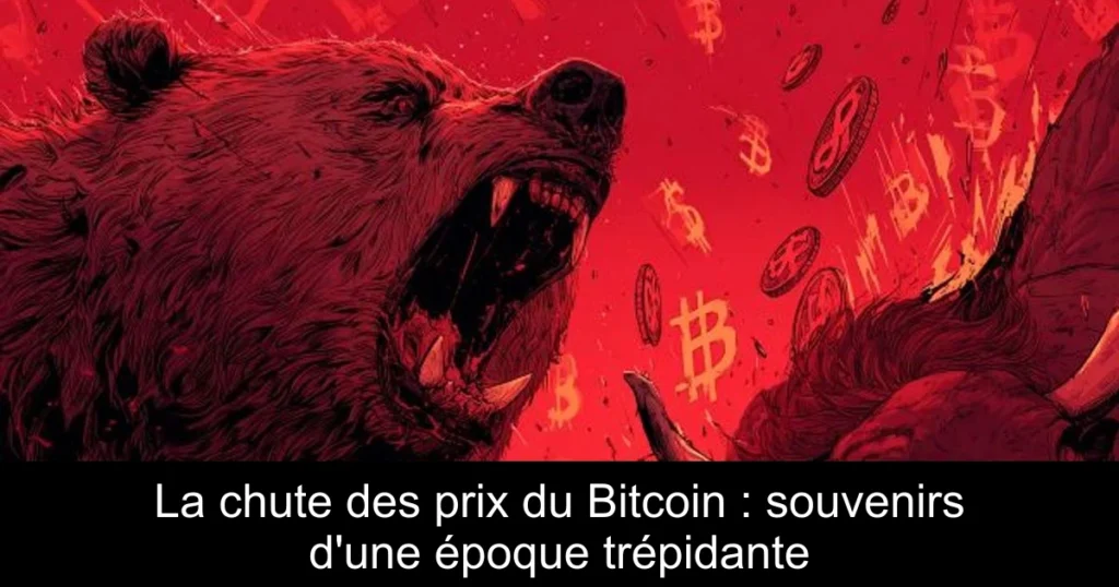 La chute des prix du Bitcoin : souvenirs d’une époque trépidante