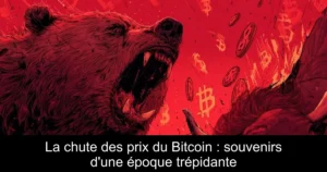 La chute des prix du Bitcoin : souvenirs d&rsquo;une époque trépidante