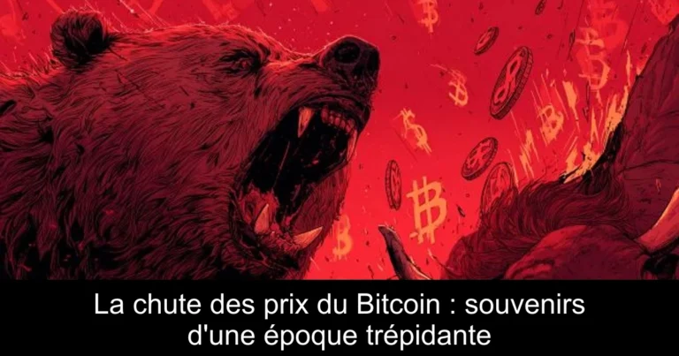 La chute des prix du Bitcoin : souvenirs d'une époque trépidante