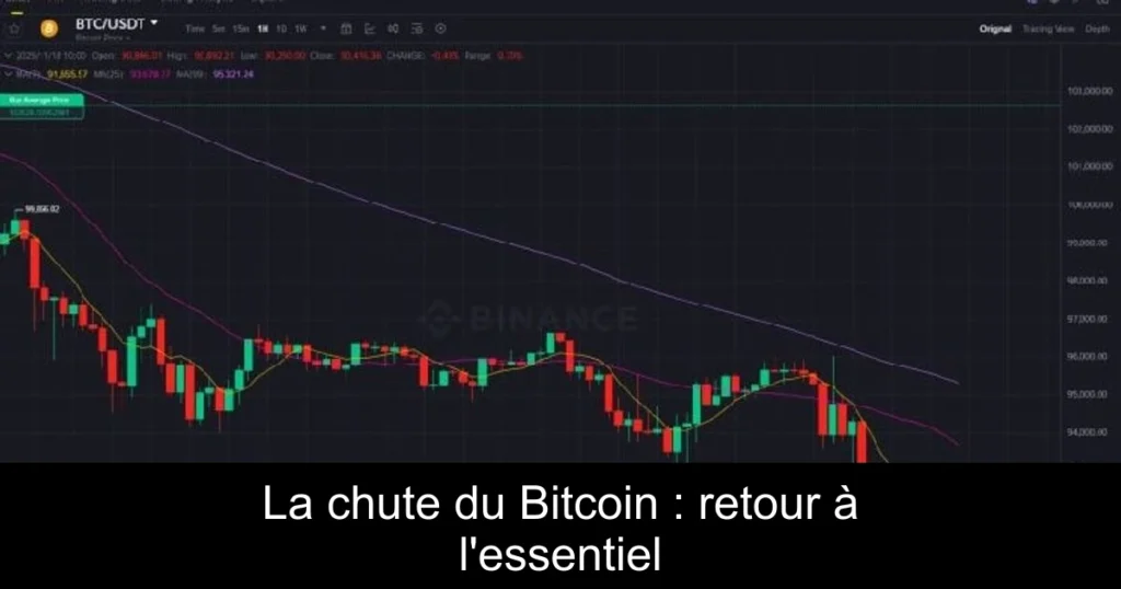 La chute du Bitcoin : retour à l’essentiel