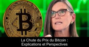 La Chute du Prix du Bitcoin : Explications et Perspectives