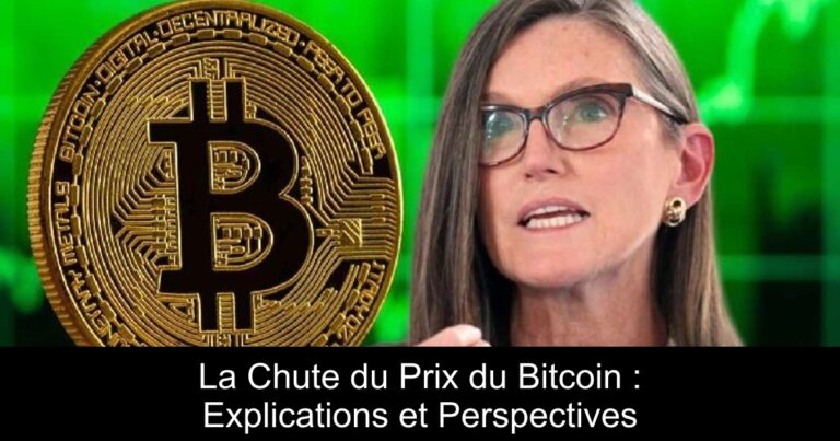 La Chute du Prix du Bitcoin : Explications et Perspectives