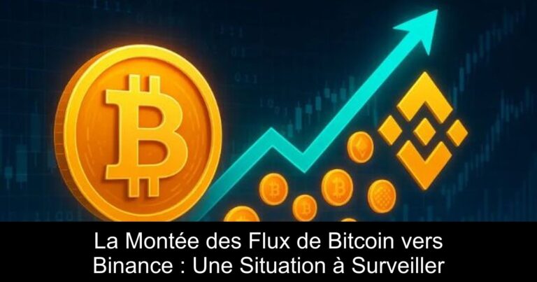 La Montée des Flux de Bitcoin vers Binance : Une Situation à Surveiller
