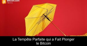 La Tempête Parfaite qui a Fait Plonger le Bitcoin