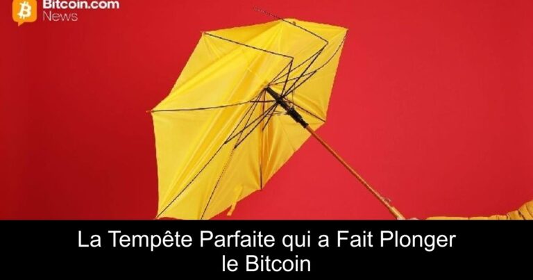 La Tempête Parfaite qui a Fait Plonger le Bitcoin