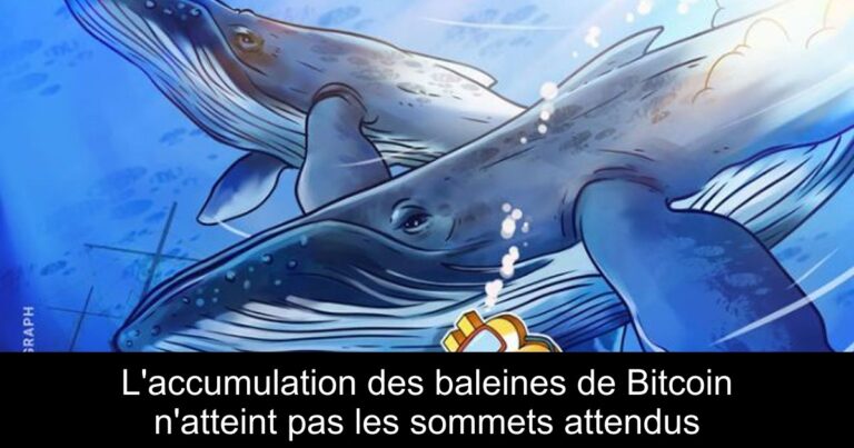 L'accumulation des baleines de Bitcoin n'atteint pas les sommets attendus