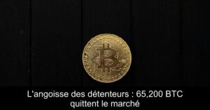 L&rsquo;angoisse des détenteurs : 65,200 BTC quittent le marché