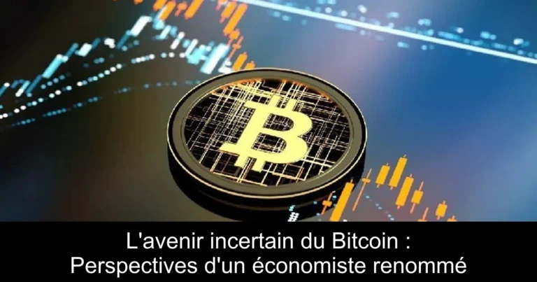 L'avenir incertain du Bitcoin : Perspectives d'un économiste renommé
