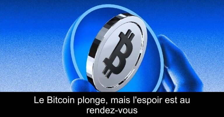 Le Bitcoin plonge, mais l'espoir est au rendez-vous
