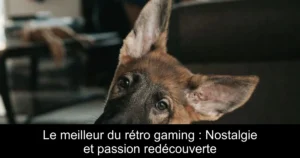 Le meilleur du rétro gaming : Nostalgie et passion redécouverte