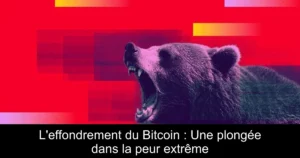 L&rsquo;effondrement du Bitcoin : Une plongée dans la peur extrême