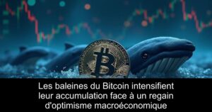 Les baleines du Bitcoin intensifient leur accumulation face à un regain d&rsquo;optimisme macroéconomique