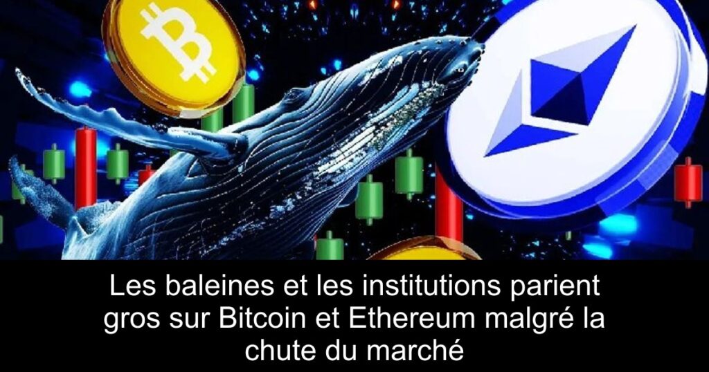 Les baleines et les institutions parient gros sur Bitcoin et Ethereum malgré la chute du marché