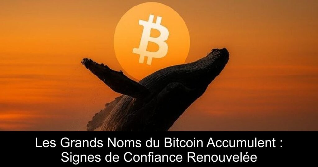 Les Grands Noms du Bitcoin Accumulent : Signes de Confiance Renouvelée