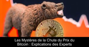 Les Mystères de la Chute du Prix du Bitcoin : Explications des Experts