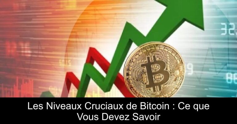 Les Niveaux Cruciaux de Bitcoin : Ce que Vous Devez Savoir