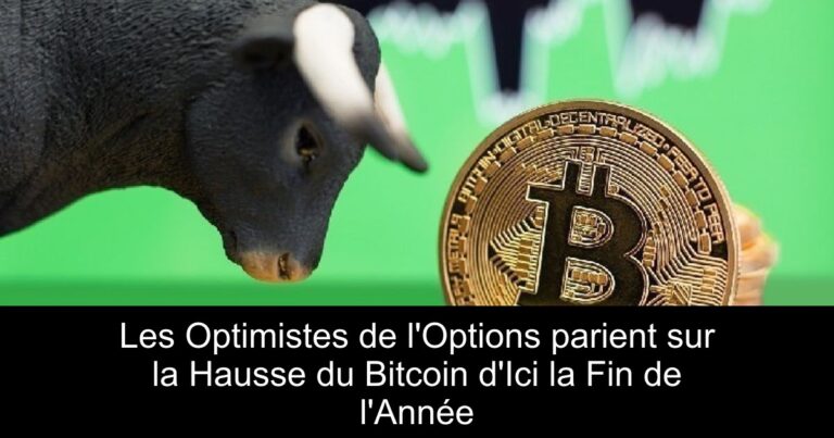 Les Optimistes de l'Options parient sur la Hausse du Bitcoin d'Ici la Fin de l'Année