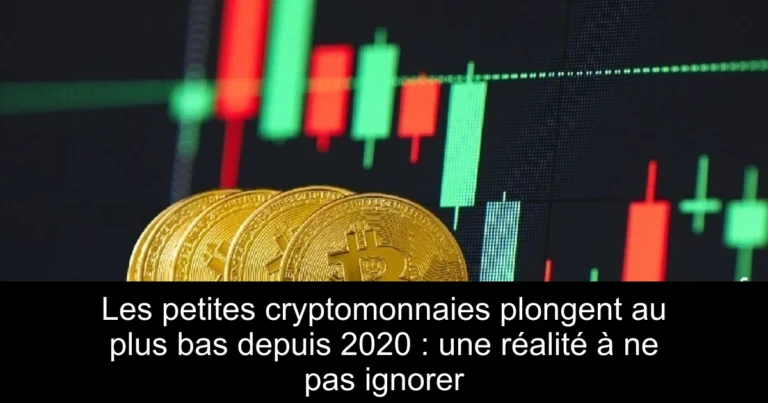 Les petites cryptomonnaies plongent au plus bas depuis 2020 : une réalité à ne pas ignorer