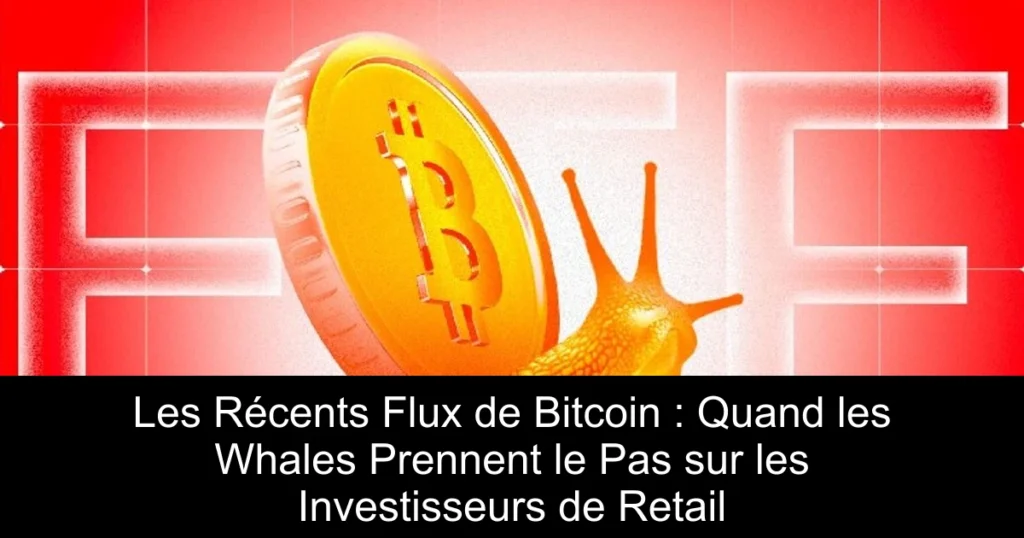 Les Récents Flux de Bitcoin : Quand les Whales Prennent le Pas sur les Investisseurs de Retail