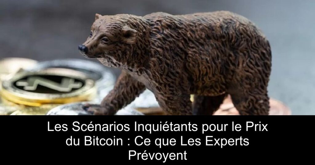 Les Scénarios Inquiétants pour le Prix du Bitcoin : Ce que Les Experts Prévoyent