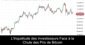 L&rsquo;Inquiétude des Investisseurs Face à la Chute des Prix de Bitcoin