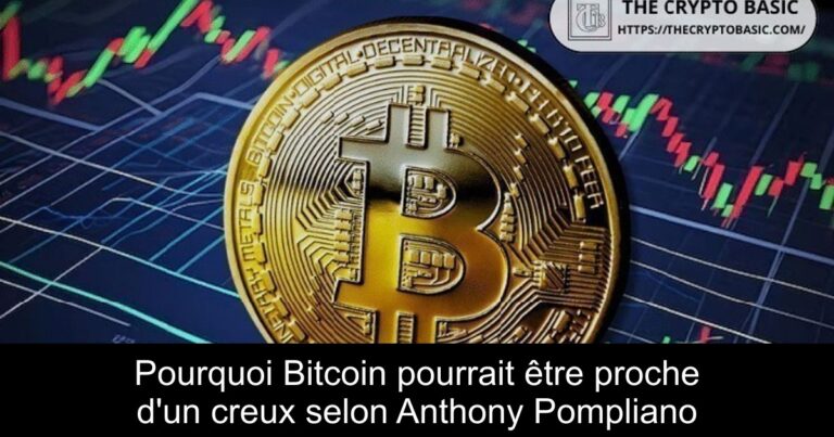 Pourquoi Bitcoin pourrait être proche d'un creux selon Anthony Pompliano