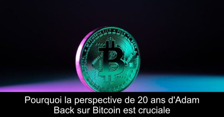Pourquoi la perspective de 20 ans d'Adam Back sur Bitcoin est cruciale