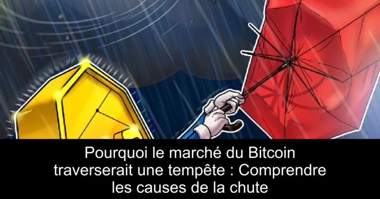 Pourquoi le marché du Bitcoin traverserait une tempête : Comprendre les causes de la chute