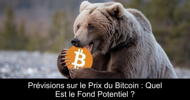 Prévisions sur le Prix du Bitcoin : Quel Est le Fond Potentiel ?