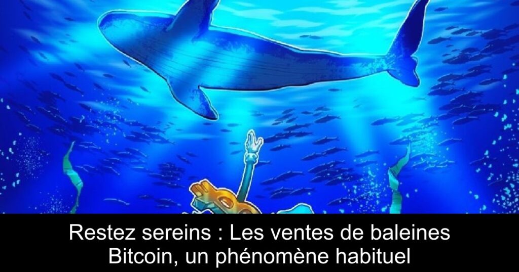 Restez sereins : Les ventes de baleines Bitcoin, un phénomène habituel