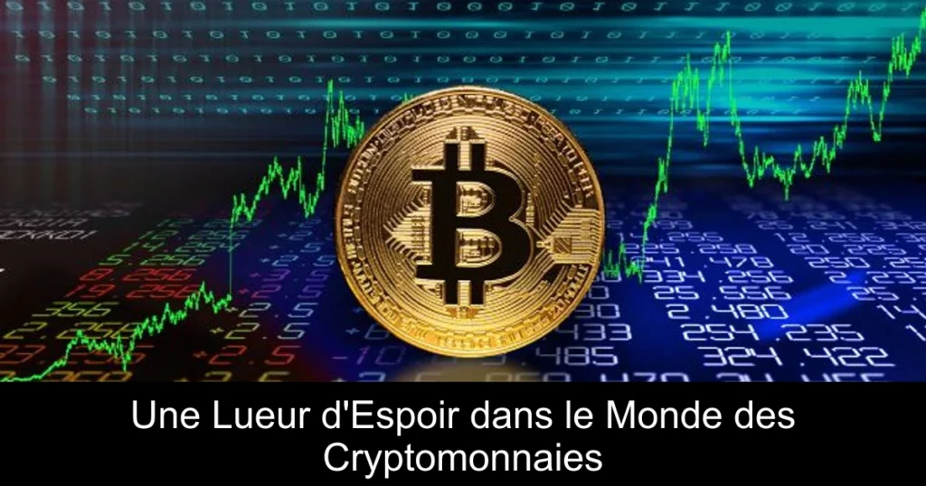 Une Lueur d’Espoir dans le Monde des Cryptomonnaies