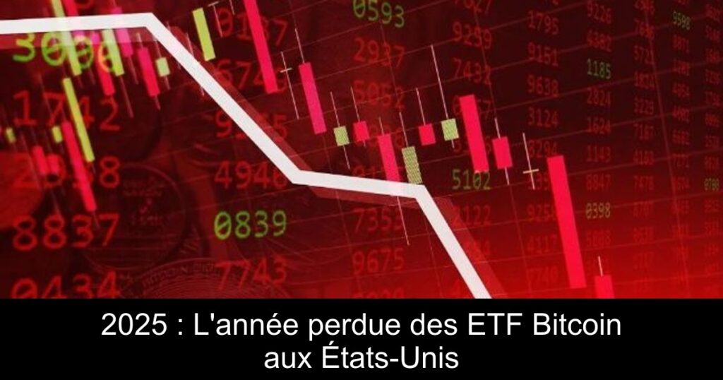 2025 : L&rsquo;année perdue des ETF Bitcoin aux États-Unis