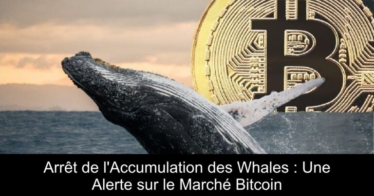 Arrêt de l'Accumulation des Whales : Une Alerte sur le Marché Bitcoin