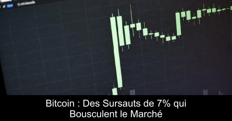 Bitcoin : Des Sursauts de 7% qui Bousculent le Marché