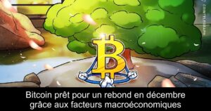 Bitcoin prêt pour un rebond en décembre grâce aux facteurs macroéconomiques
